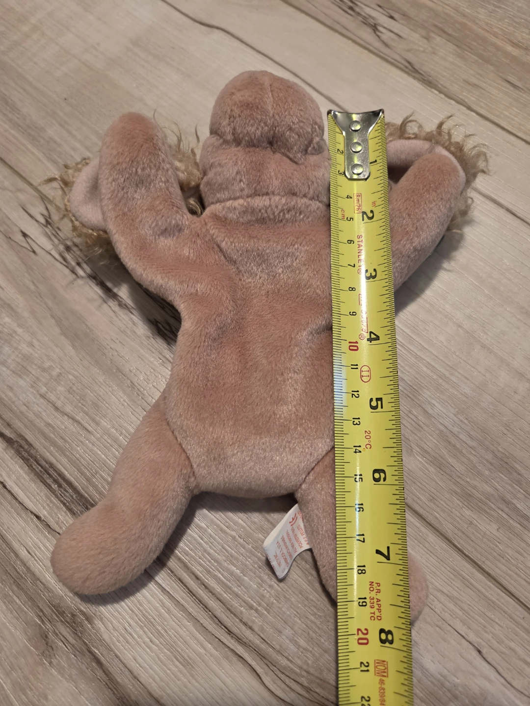 Ty Beanie Baby "Spunky" the Cocker Spaniel Dog Plush - photo 4