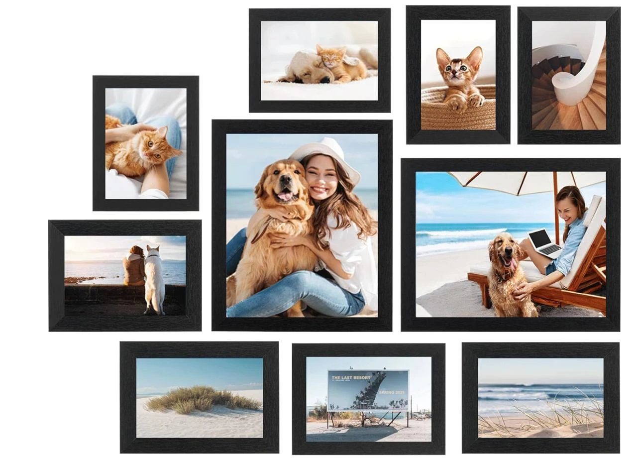 New 10PK Picture Frame Set