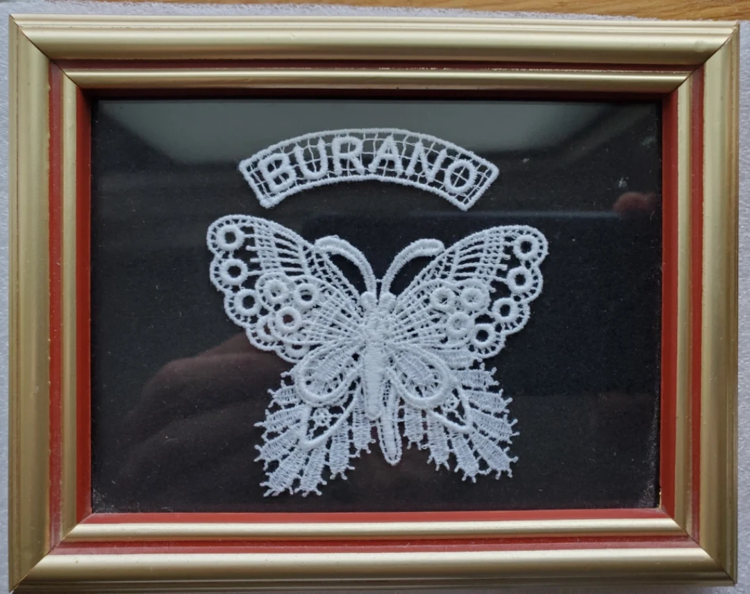 Framed Burano Lace Butterfly Art