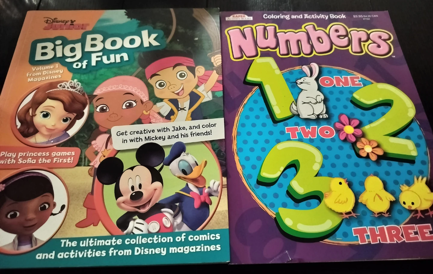 Disney Junior Big Book of Fun & Numbers Coloring Book