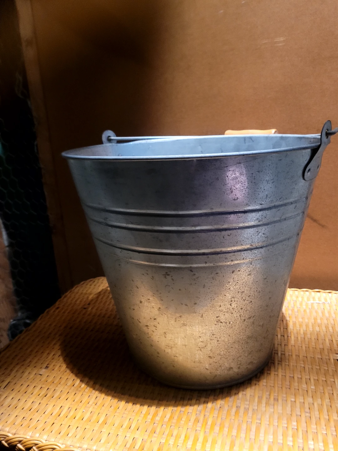 Galvanized Metal Pail with Wooden Handle🥕🌱