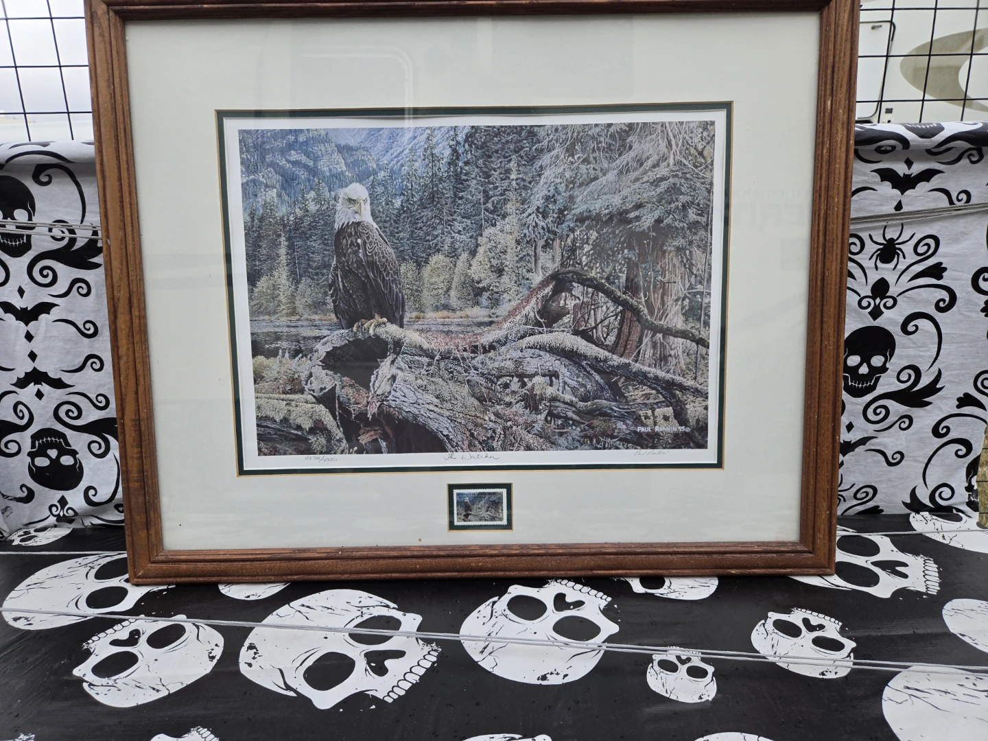 Framed Print "The Watcher" Eagle Art 2895/4950