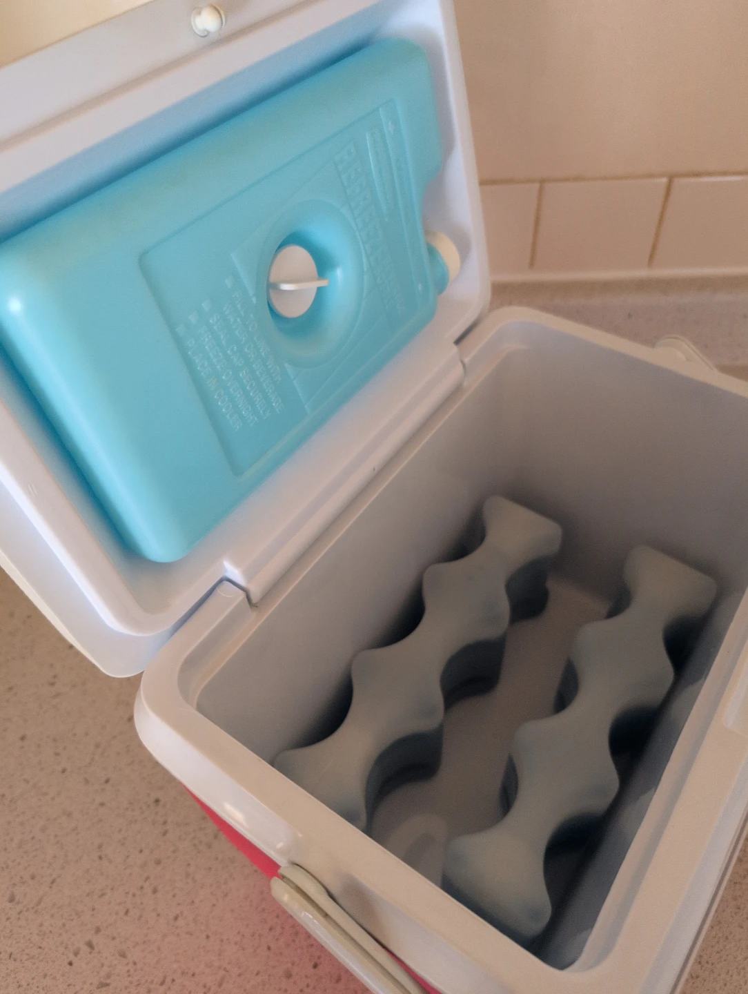 Red and White Cooler with Ice Packs - photo 5