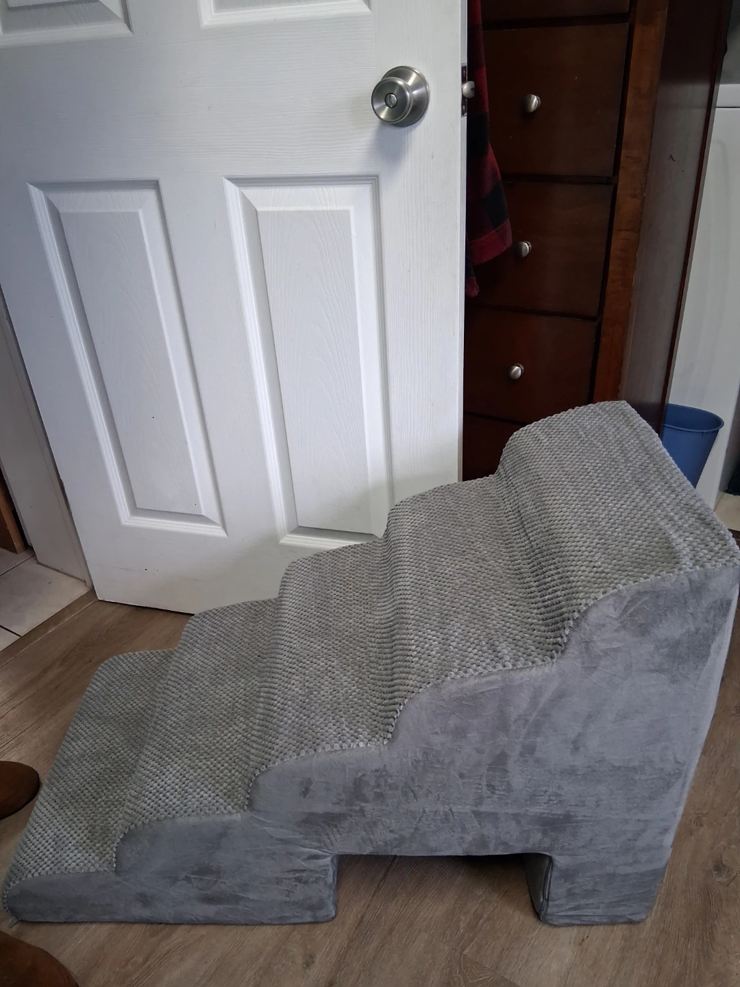 Dog stairs with a cat run through - photo 2