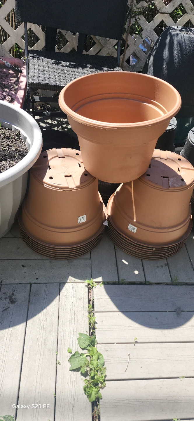 Terracotta coloured plastic plant pots. $3.50 Each