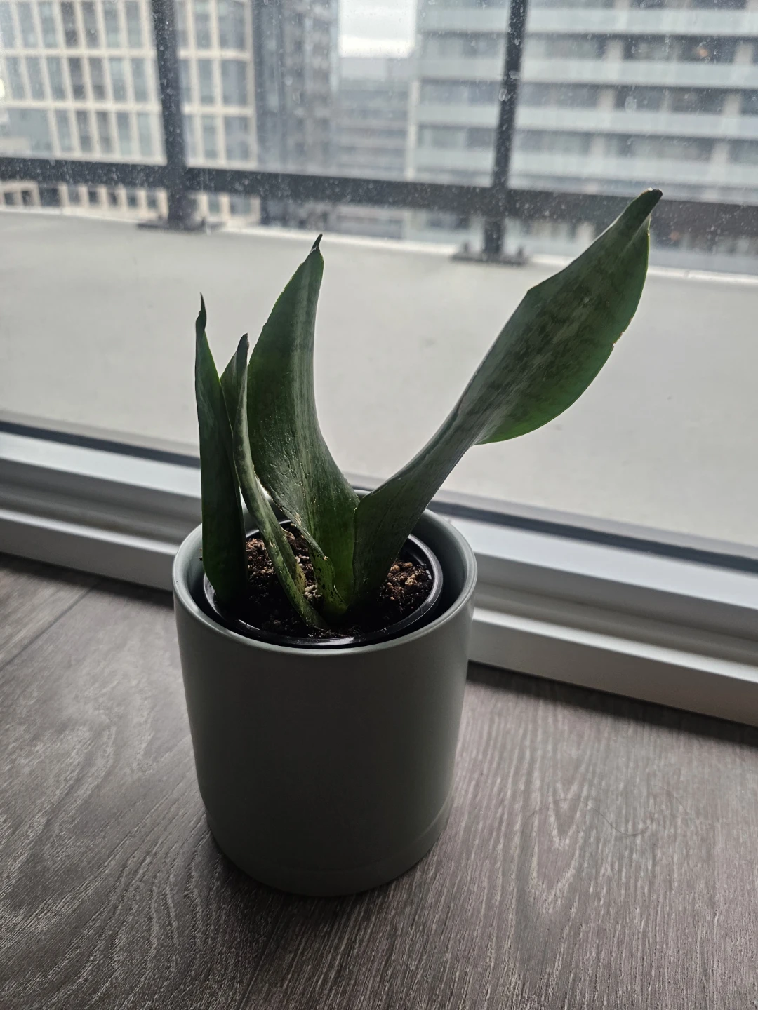 Grey Ceramic Planter Pot