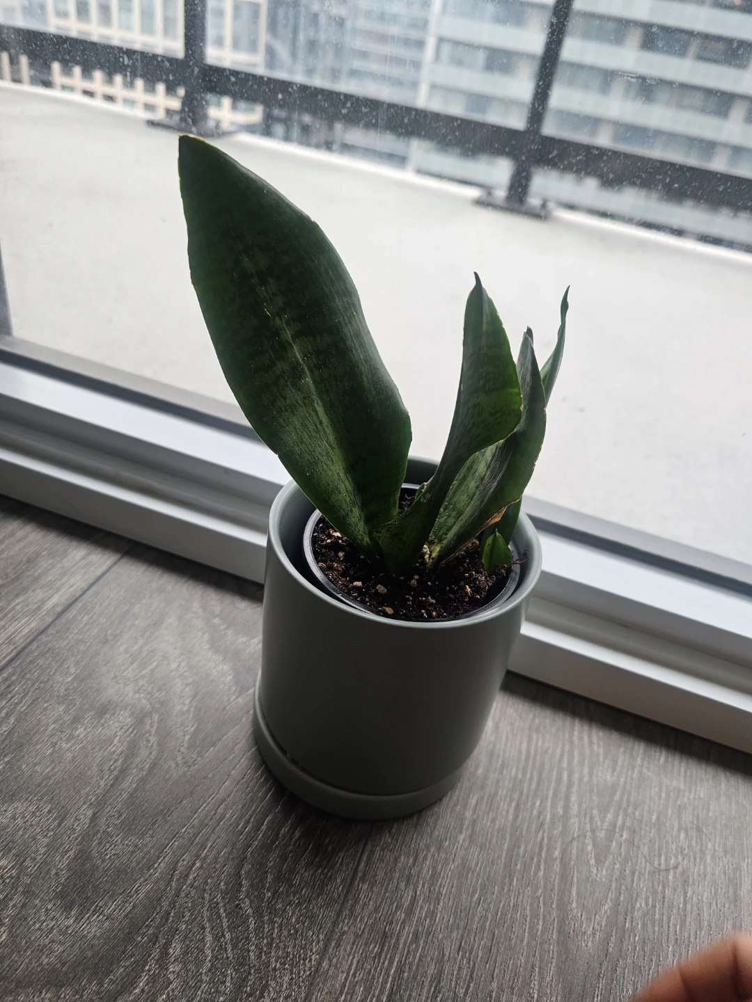 Grey Ceramic Planter Pot - photo 4
