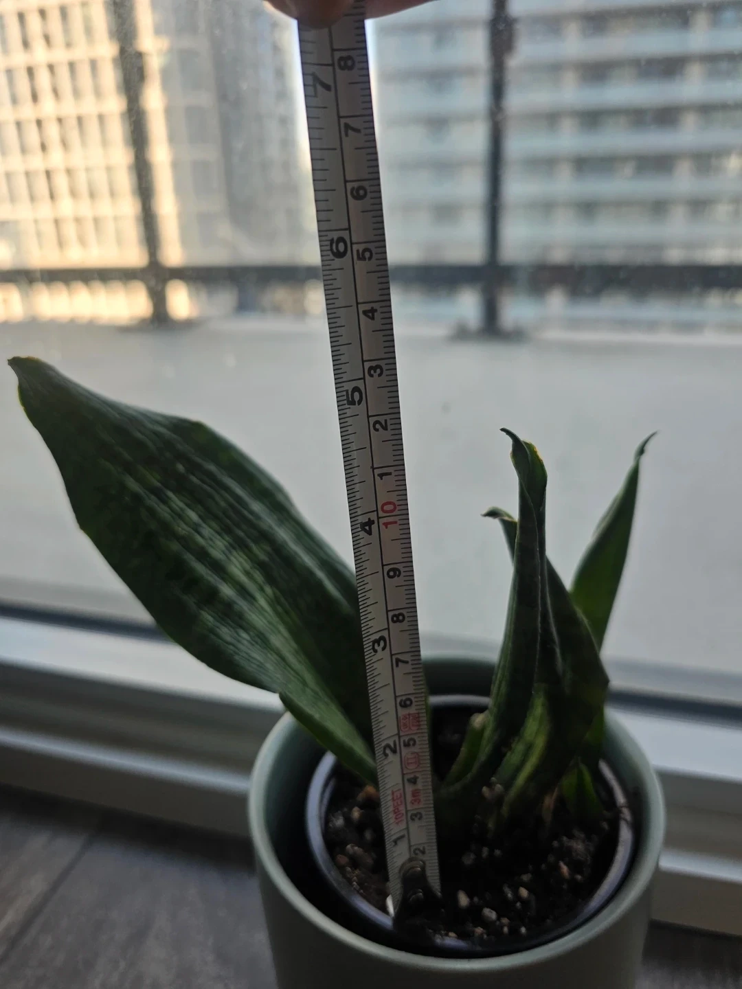 Grey Ceramic Planter Pot - photo 5