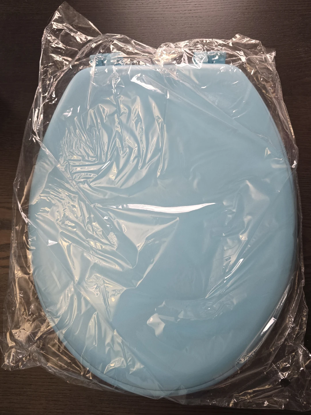 Light Blue Toilet Seat