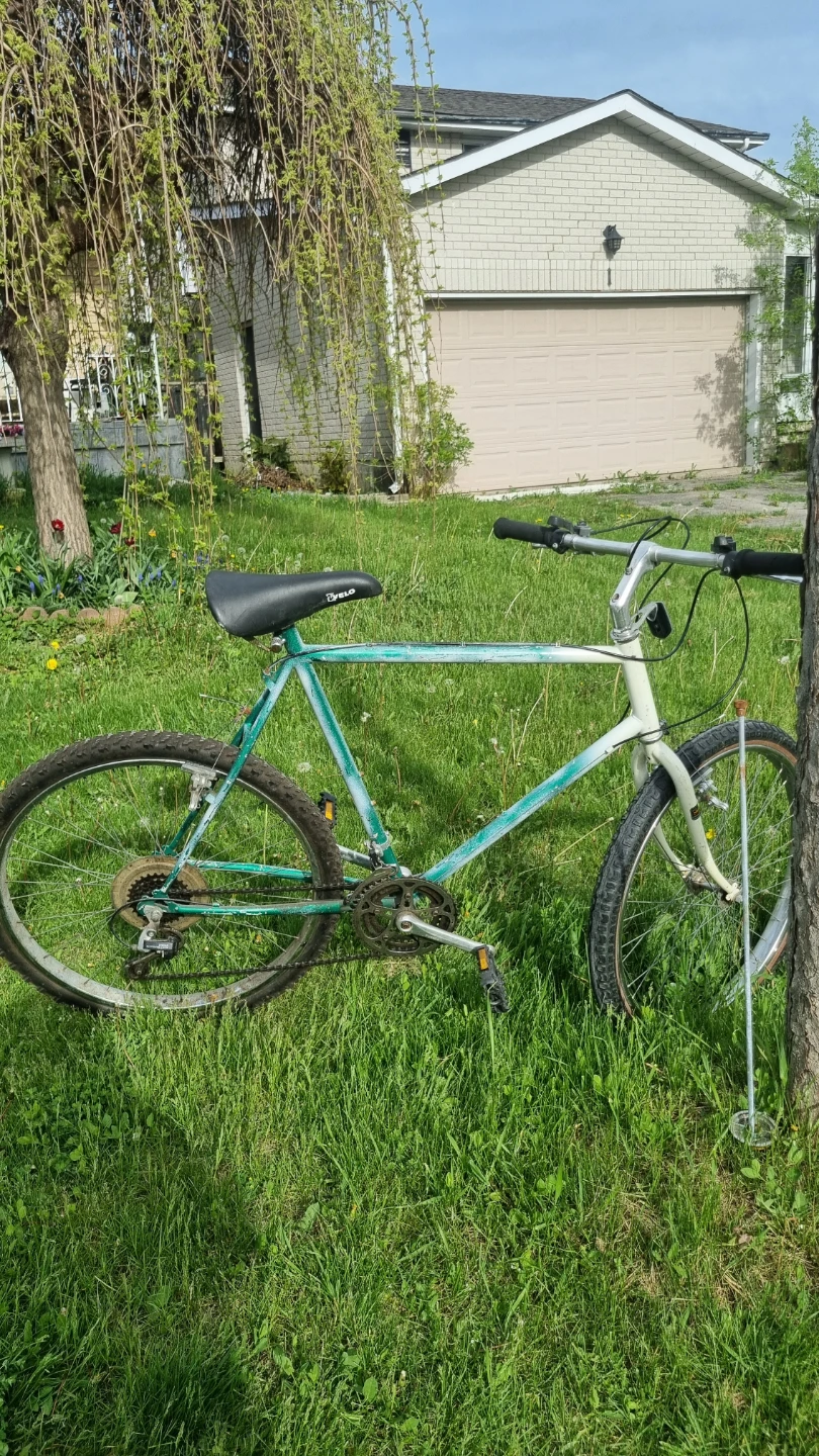 Vintage Bicycle - photo 2