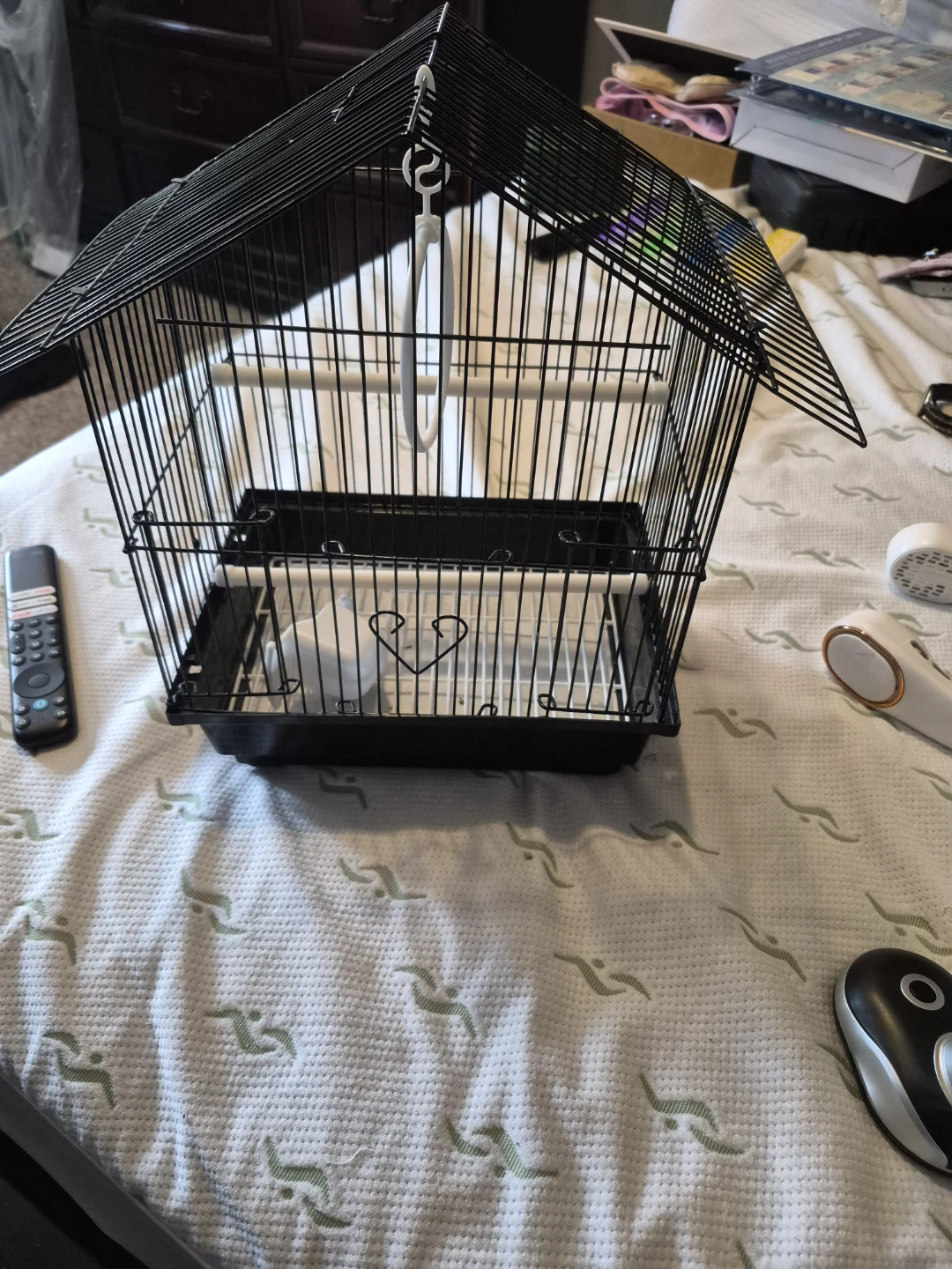 Black Bird Cage