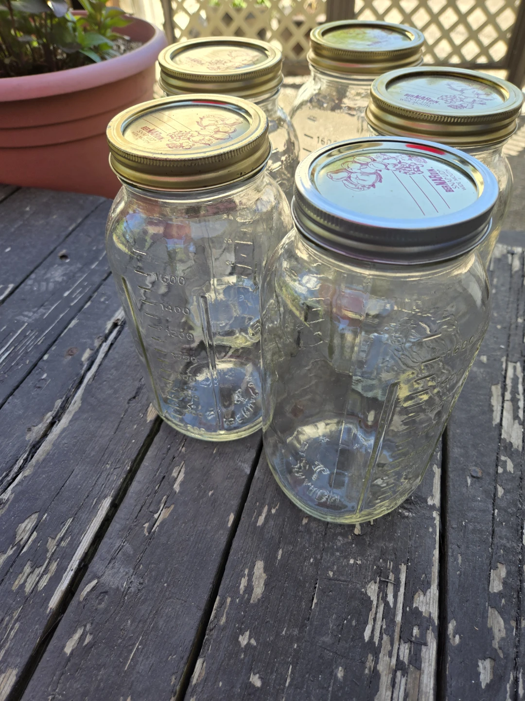 Berdardin Mason Jars - Set of 5 - photo 2