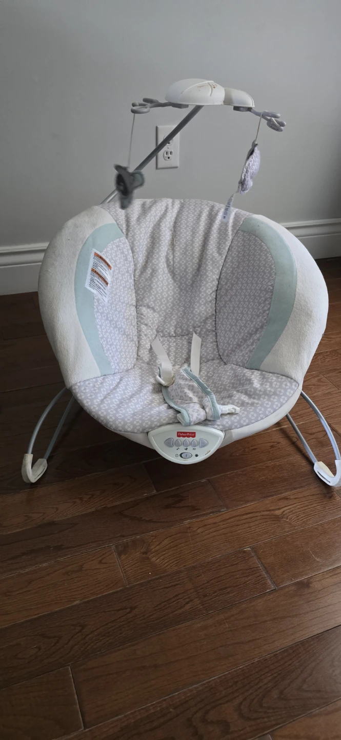 Fisher-Price Moonlight Meadow Deluxe Bouncer