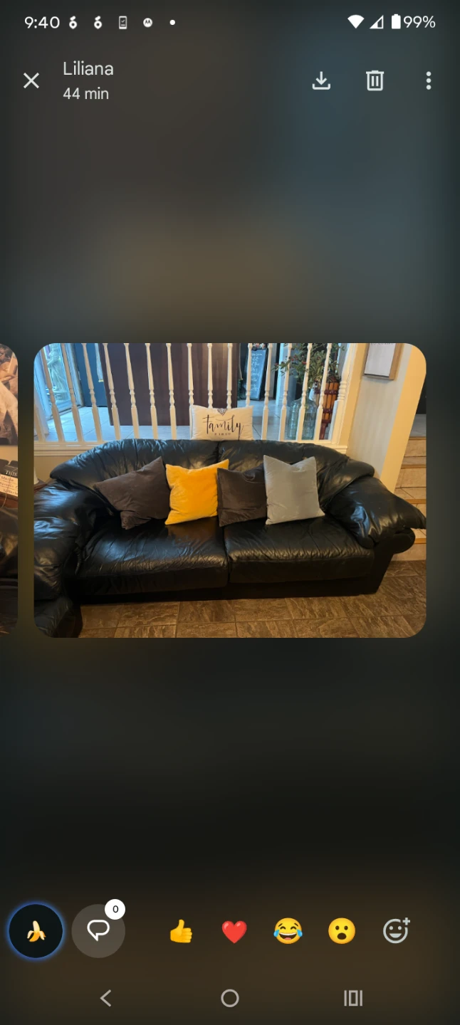 Black Leather Sofa