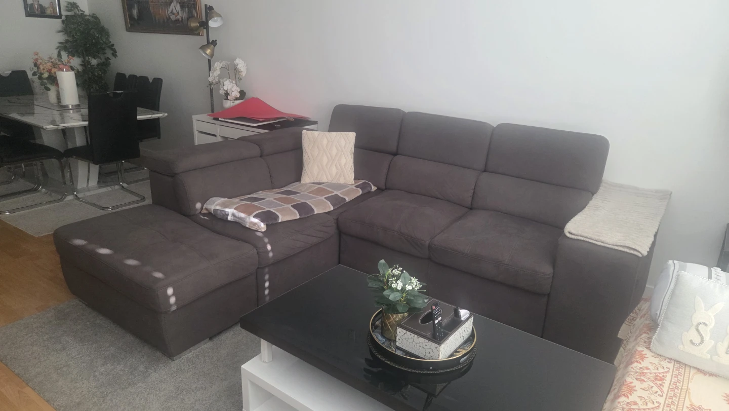 Sectional Sofa Couch