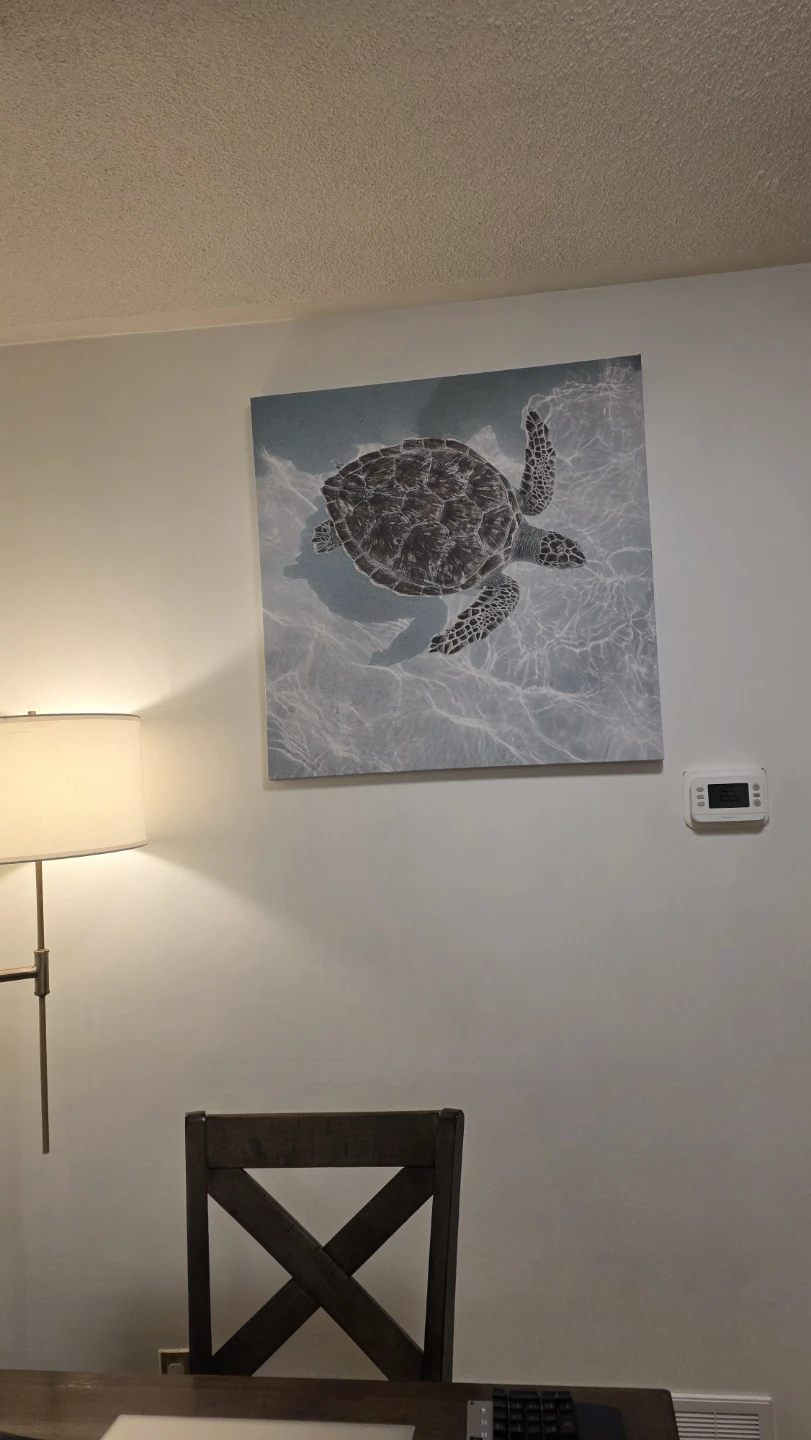 Canvas Wall Art Sea Turtle