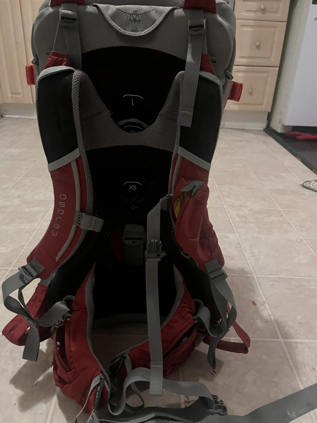 Osprey Poco Child Carrier Backpack Red - photo 4