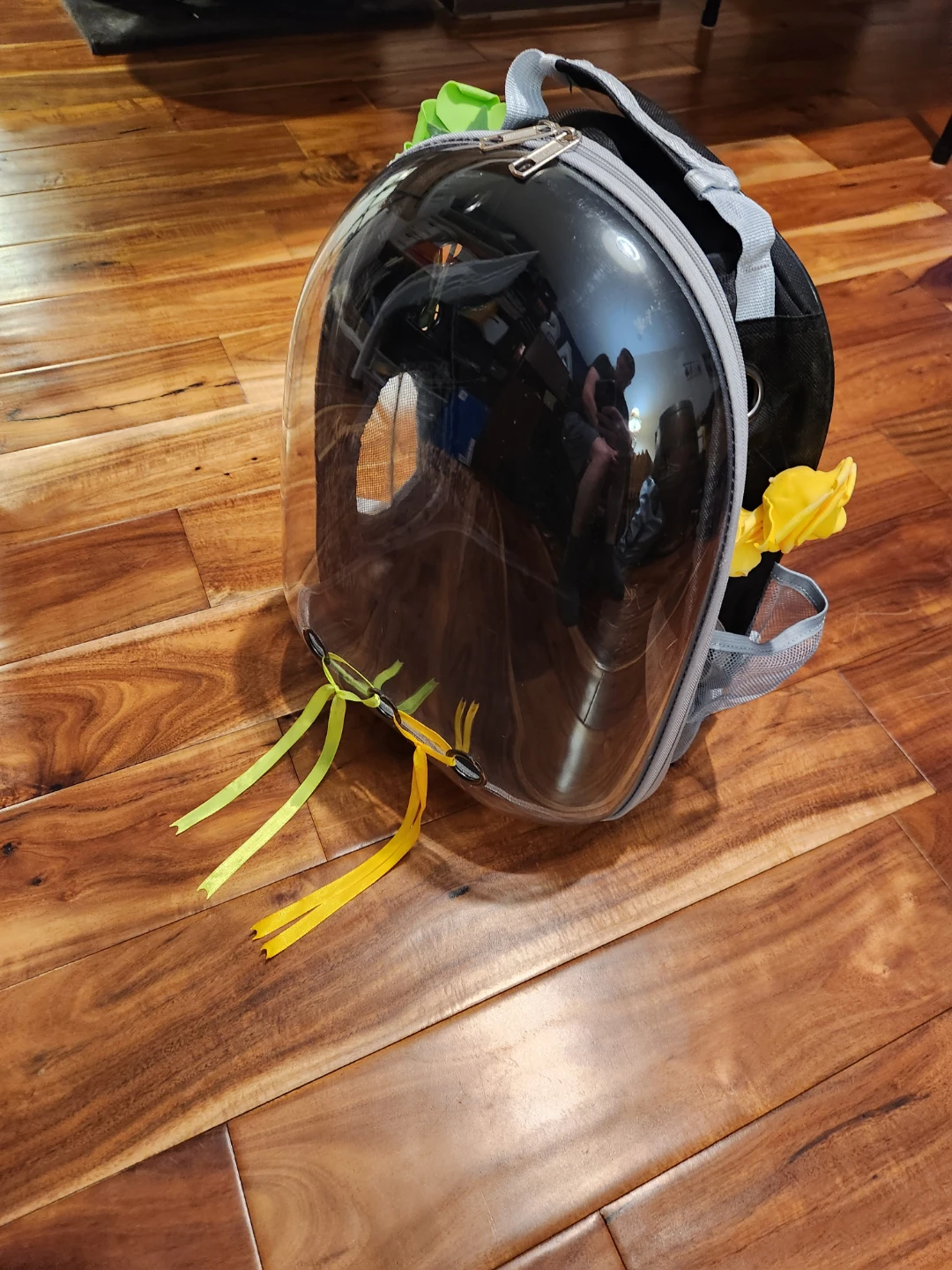 Pet Carrier Backpack with Clear Bubble Dome
