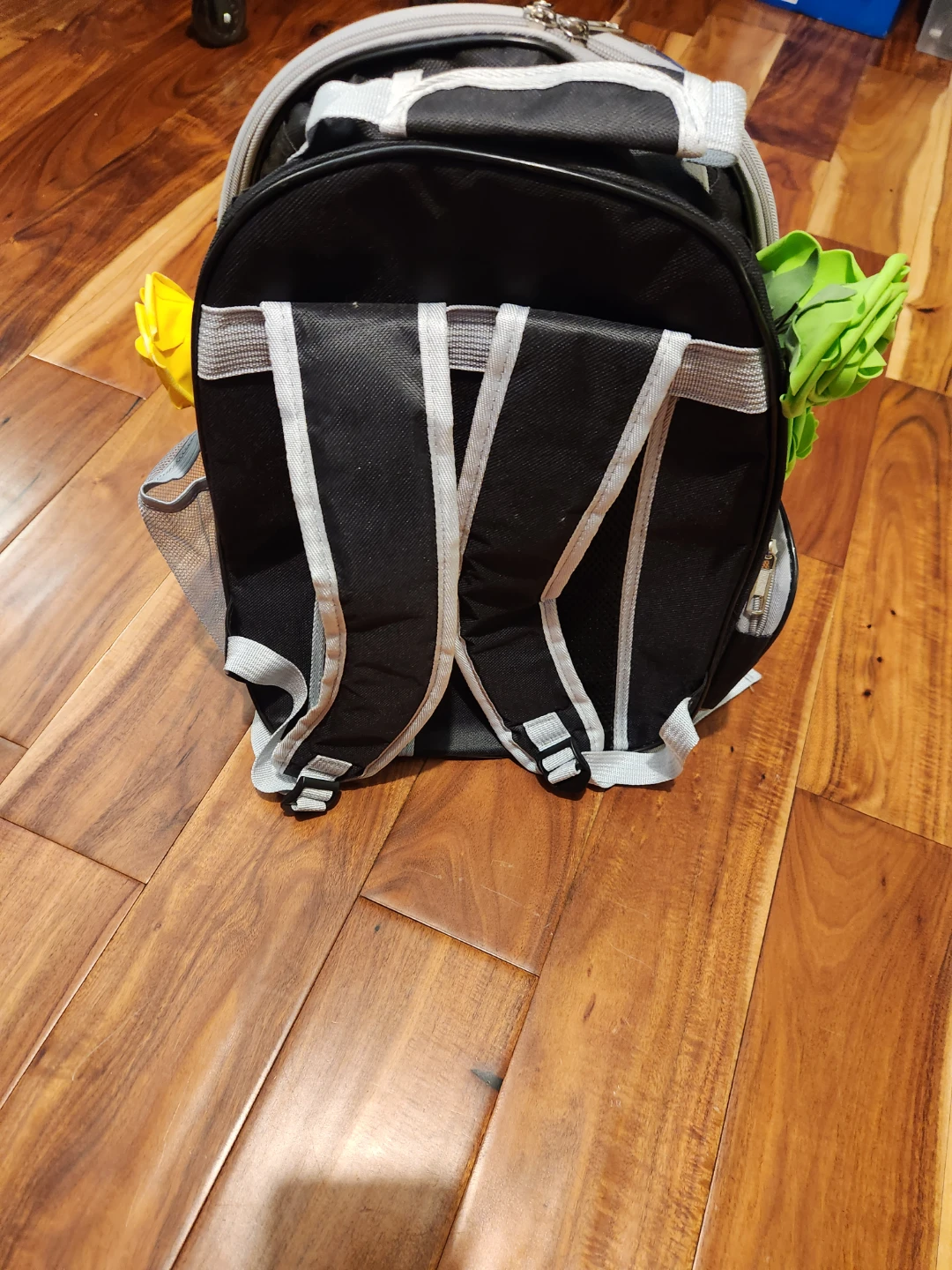 Pet Carrier Backpack with Clear Bubble Dome - photo 2
