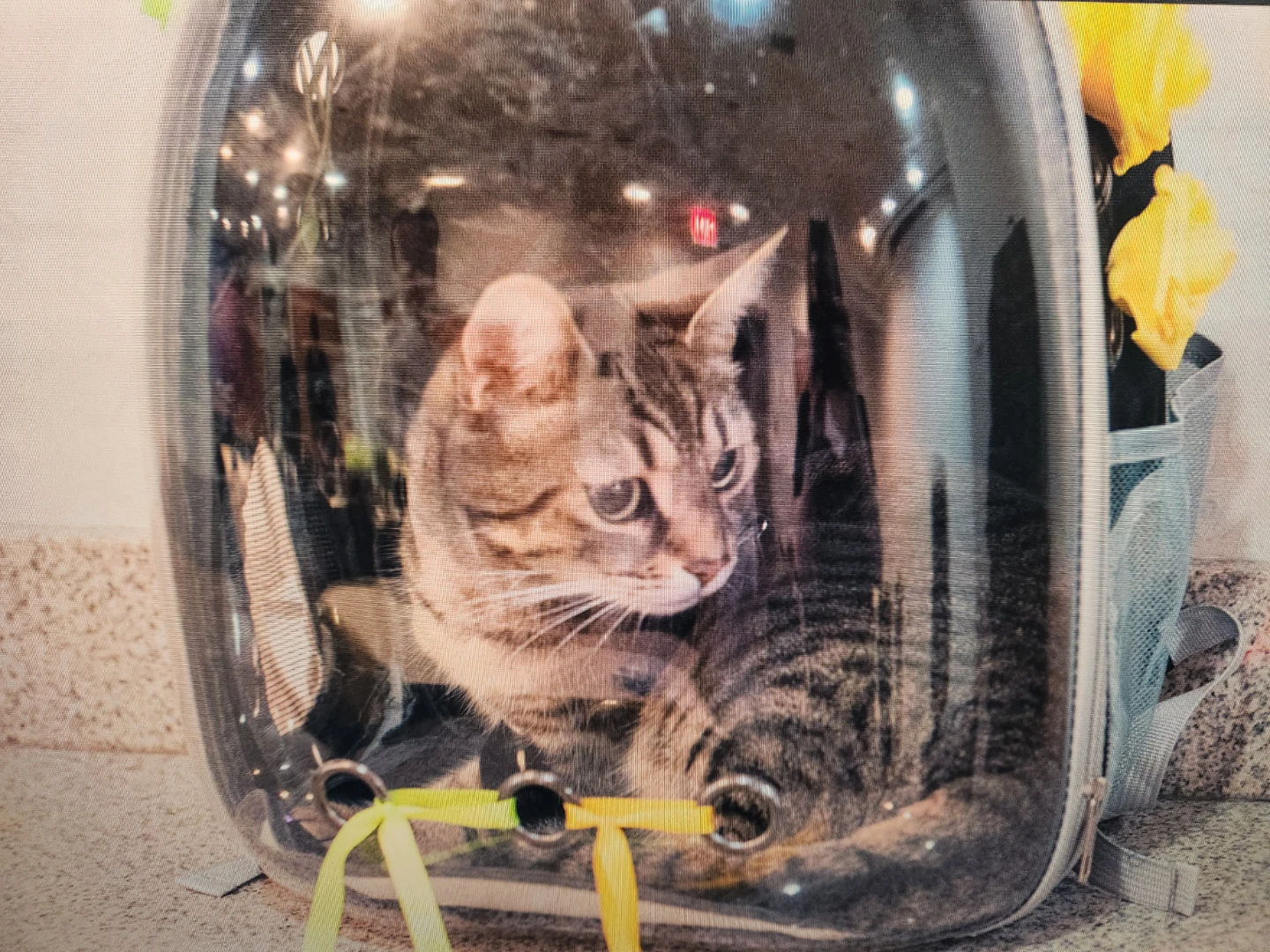 Pet Carrier Backpack with Clear Bubble Dome - photo 4