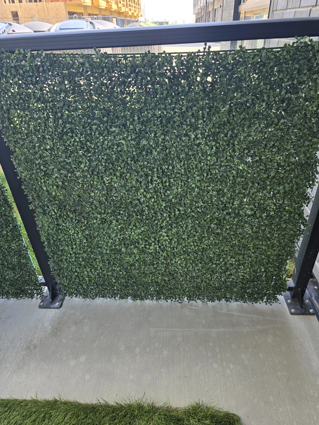 40x40 BOXWOOD PRIVACY SCREEN (2x AVAILABLE)