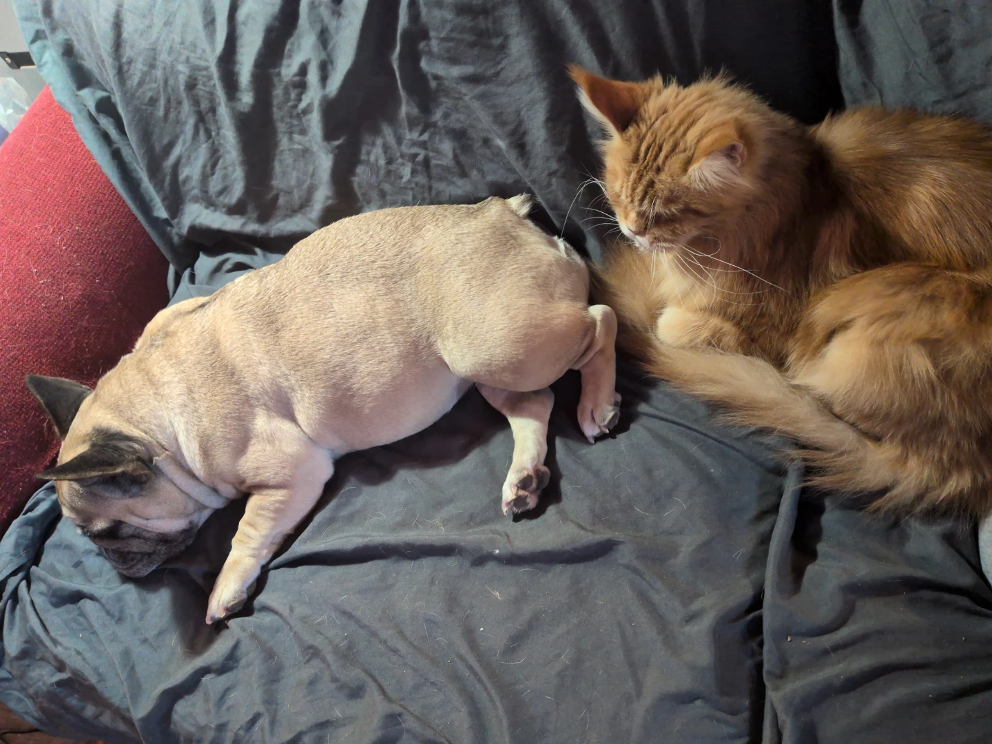 Winter Sublet / House Sit / Short Term Rental - photo 2