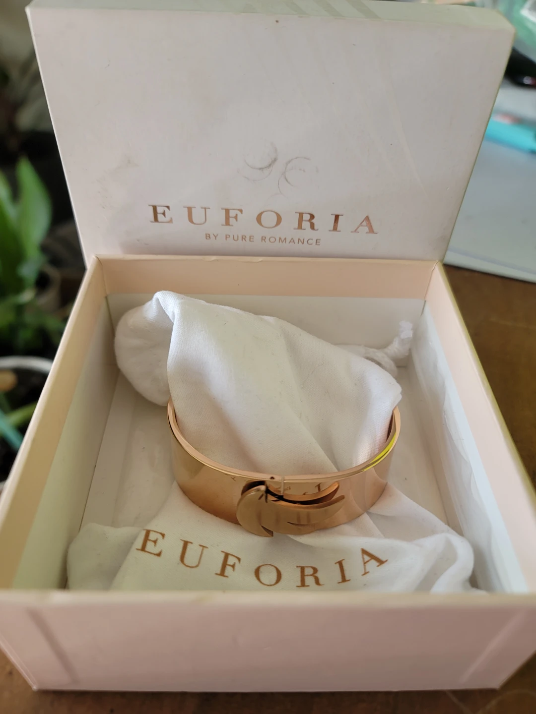 Euforia Polished Ascent Bangle S/M Rose Gold