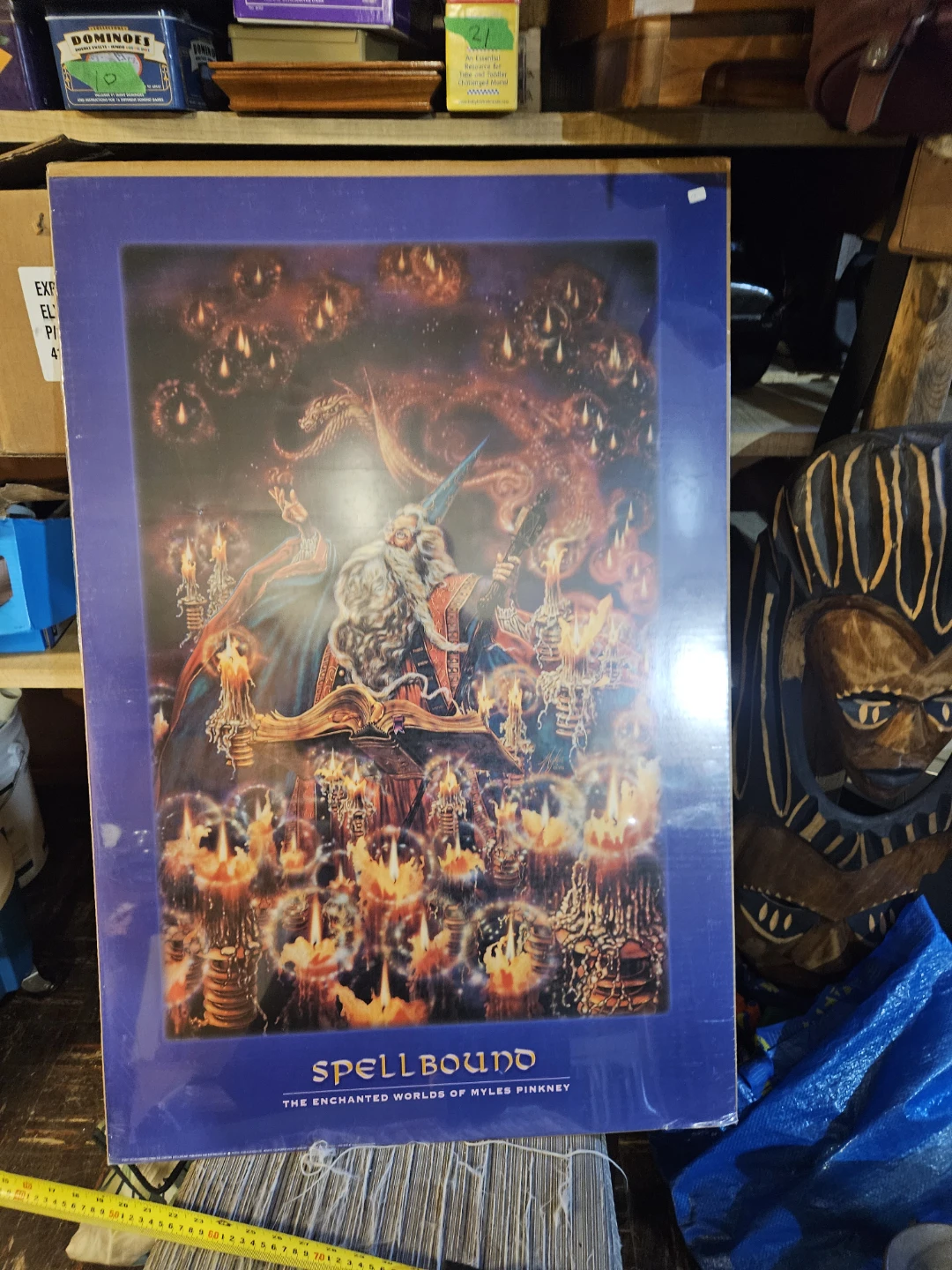 Spellbound The Enchanted Worlds of Myles Pinkney Art Poster - photo 2