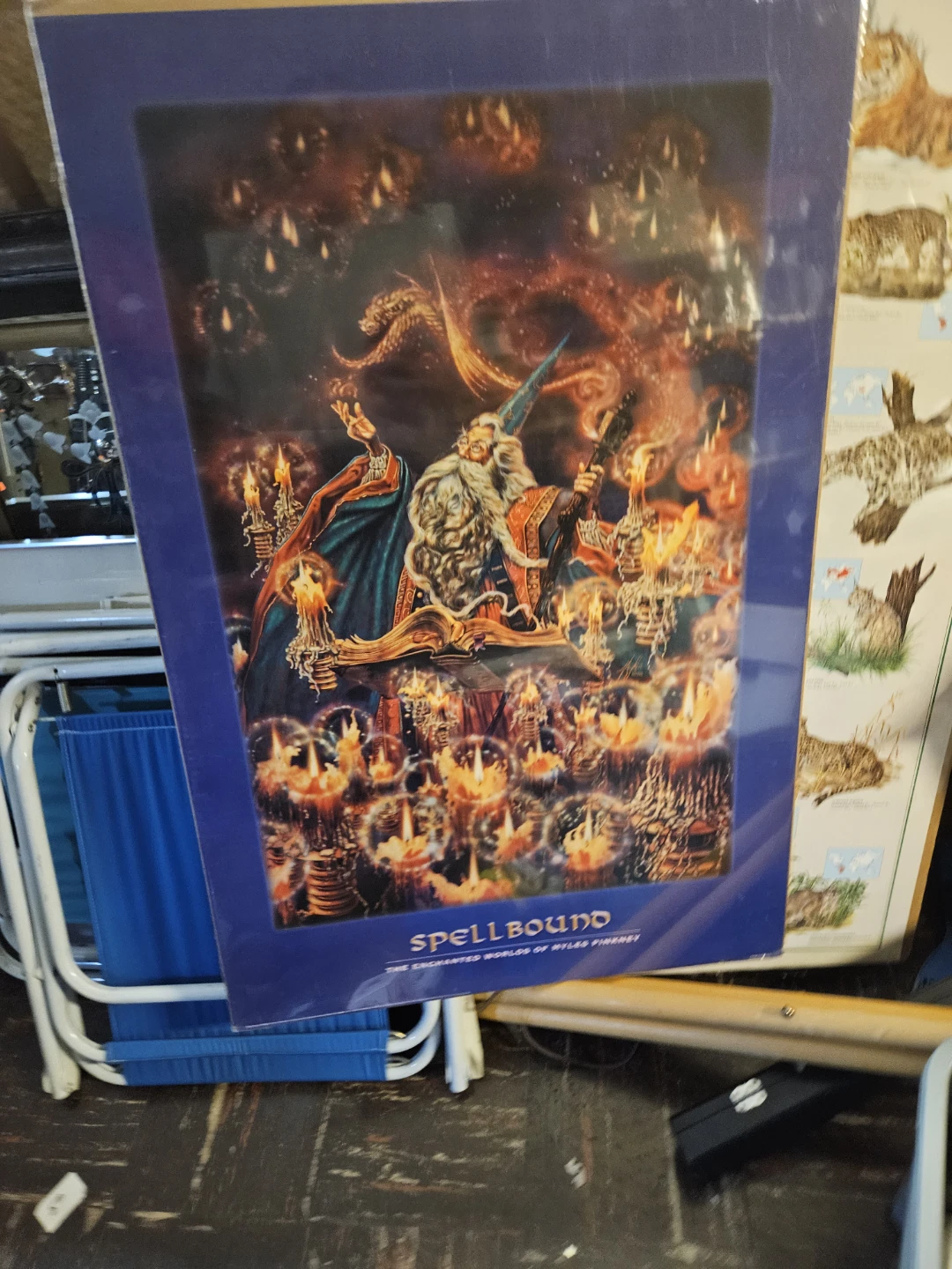 Spellbound The Enchanted Worlds of Myles Pinkney Art Poster - photo 4