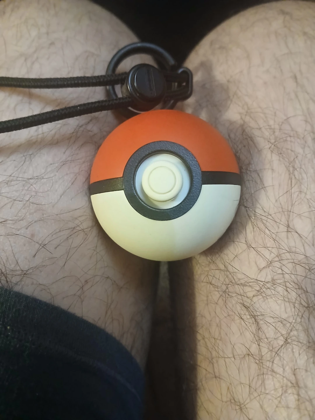 Electronic Pokeball control