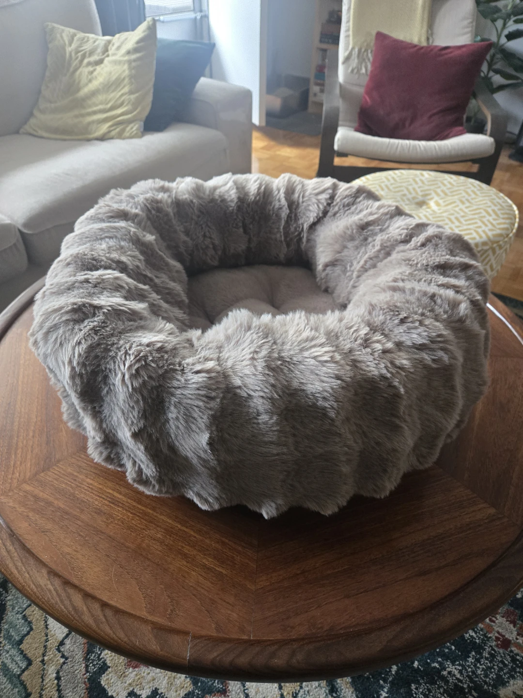 *Brand new* cat/dog bed