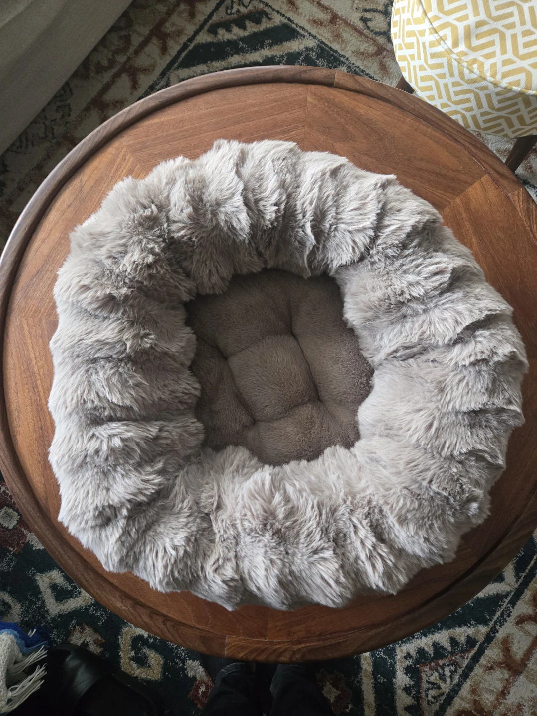 *Brand new* cat/dog bed - photo 2
