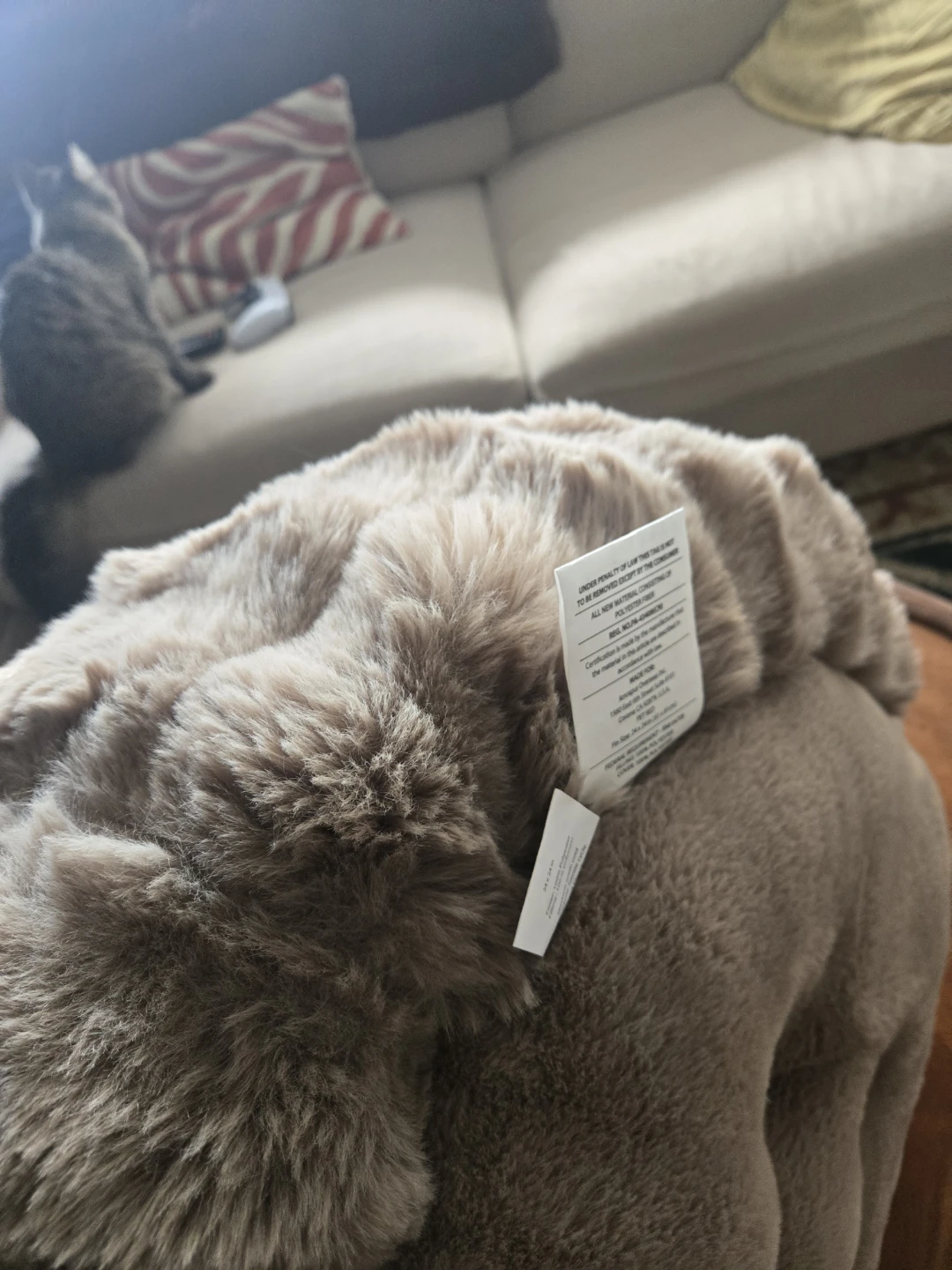 *Brand new* cat/dog bed - photo 3