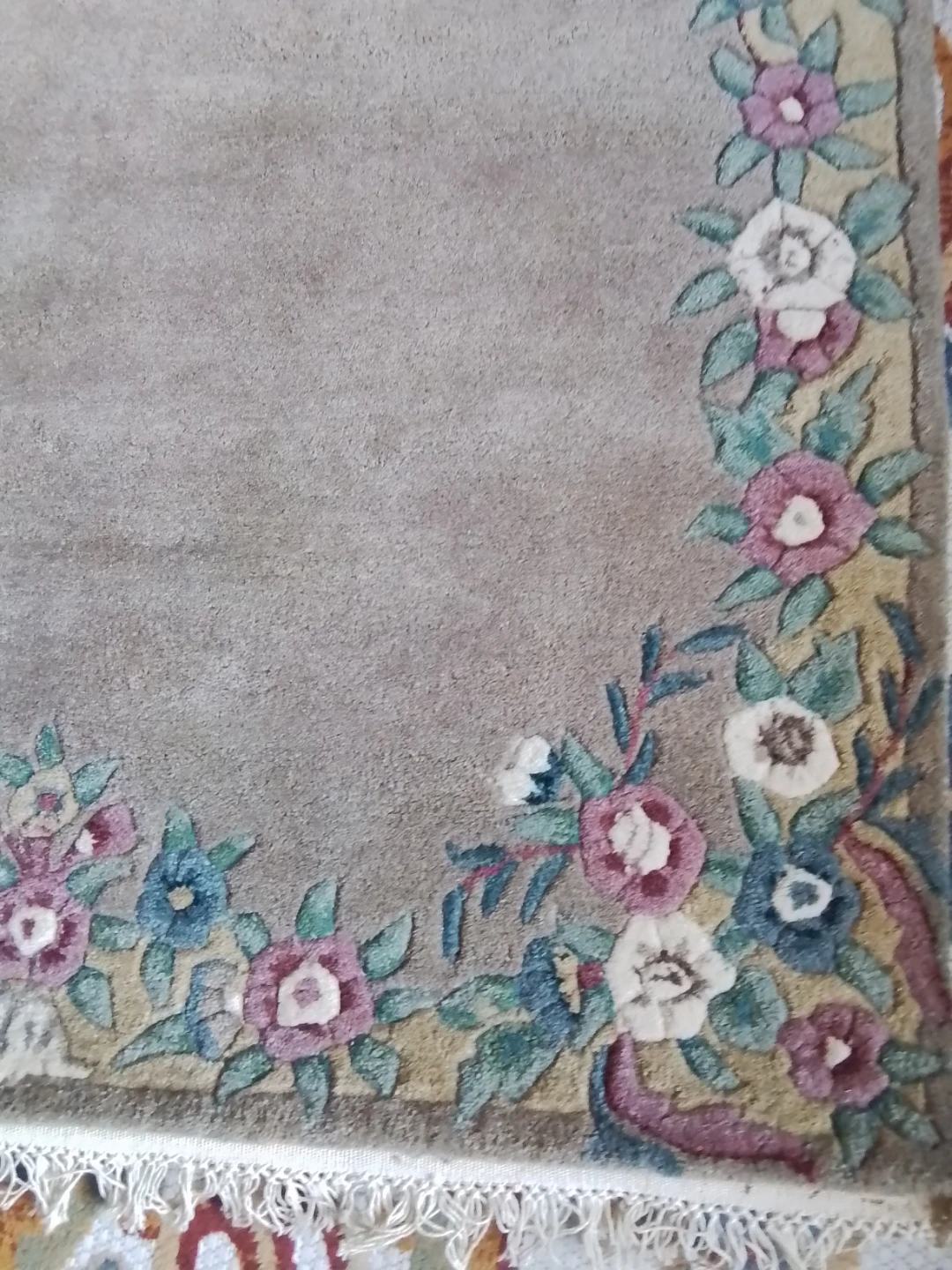 Plush 100% Wool Aubusson-Style Floral Area Rug - photo 4