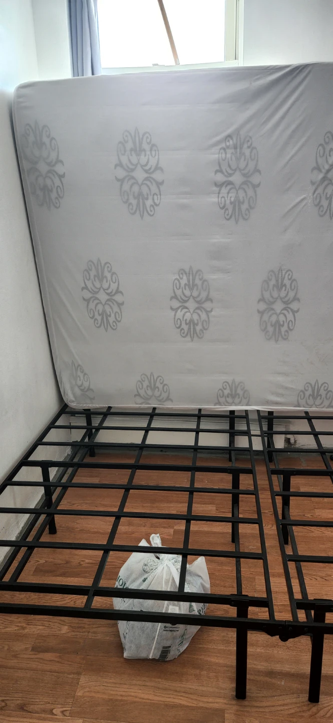 Metal Bed Frame with Mattress