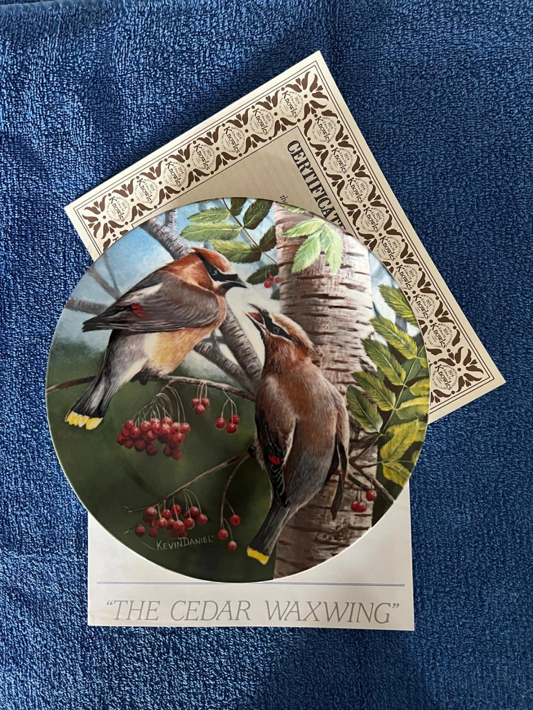 Birds of Your Garden Collection - photo 2