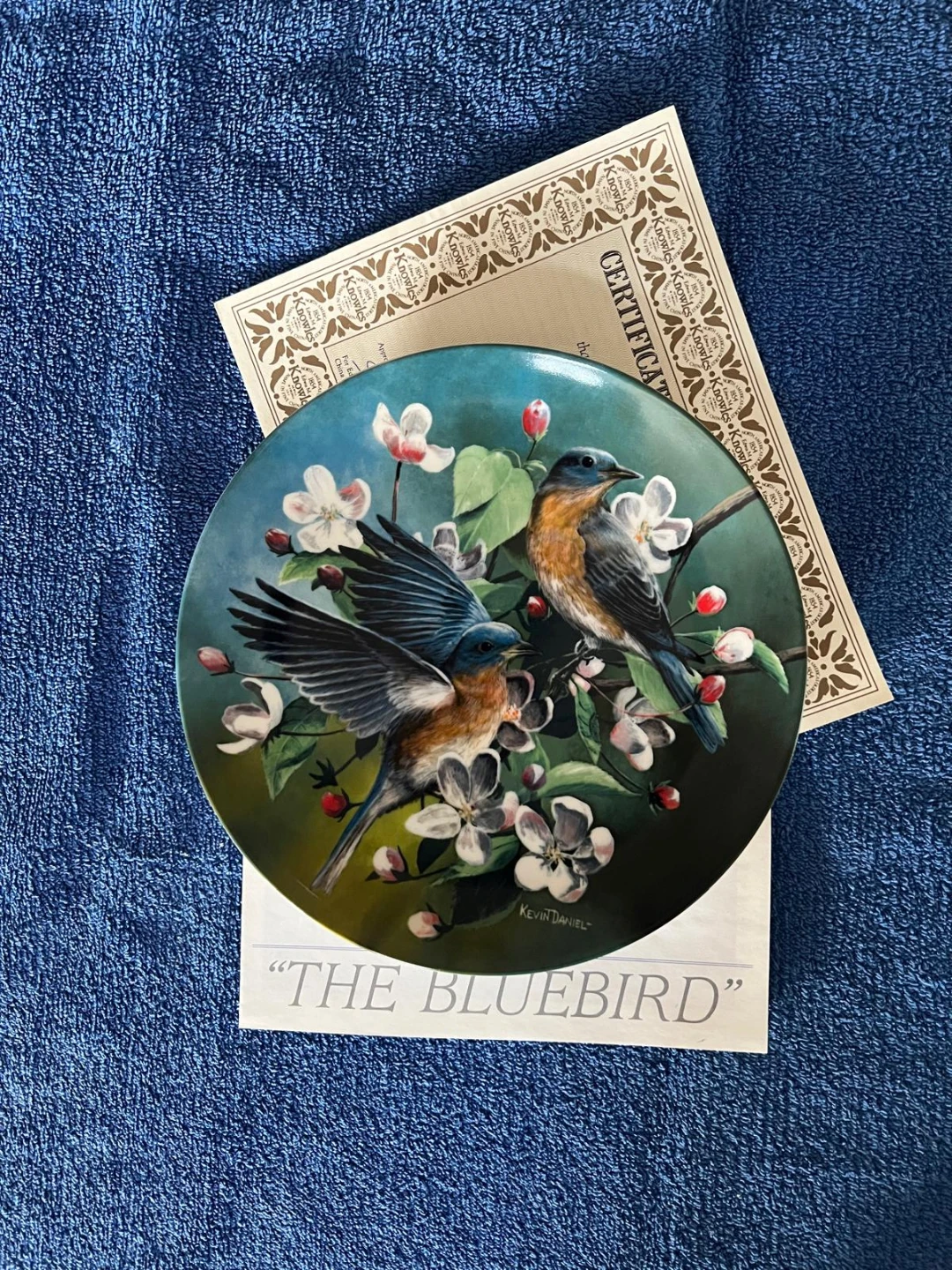 Birds of Your Garden Collection - photo 4