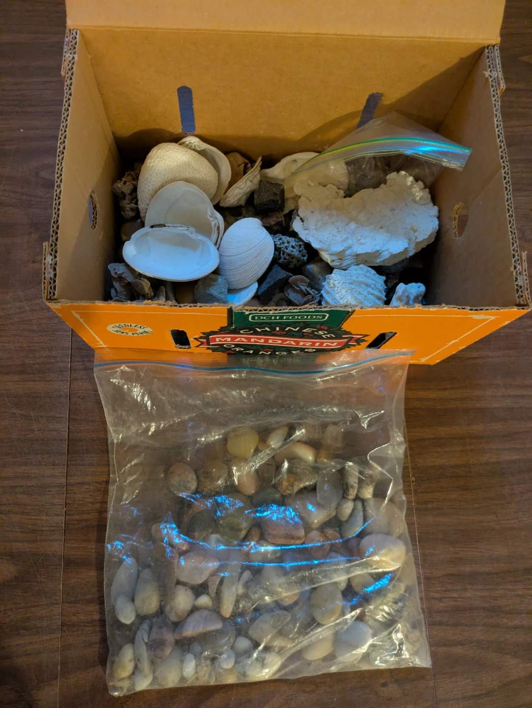 Collection of Shells and River Rocks