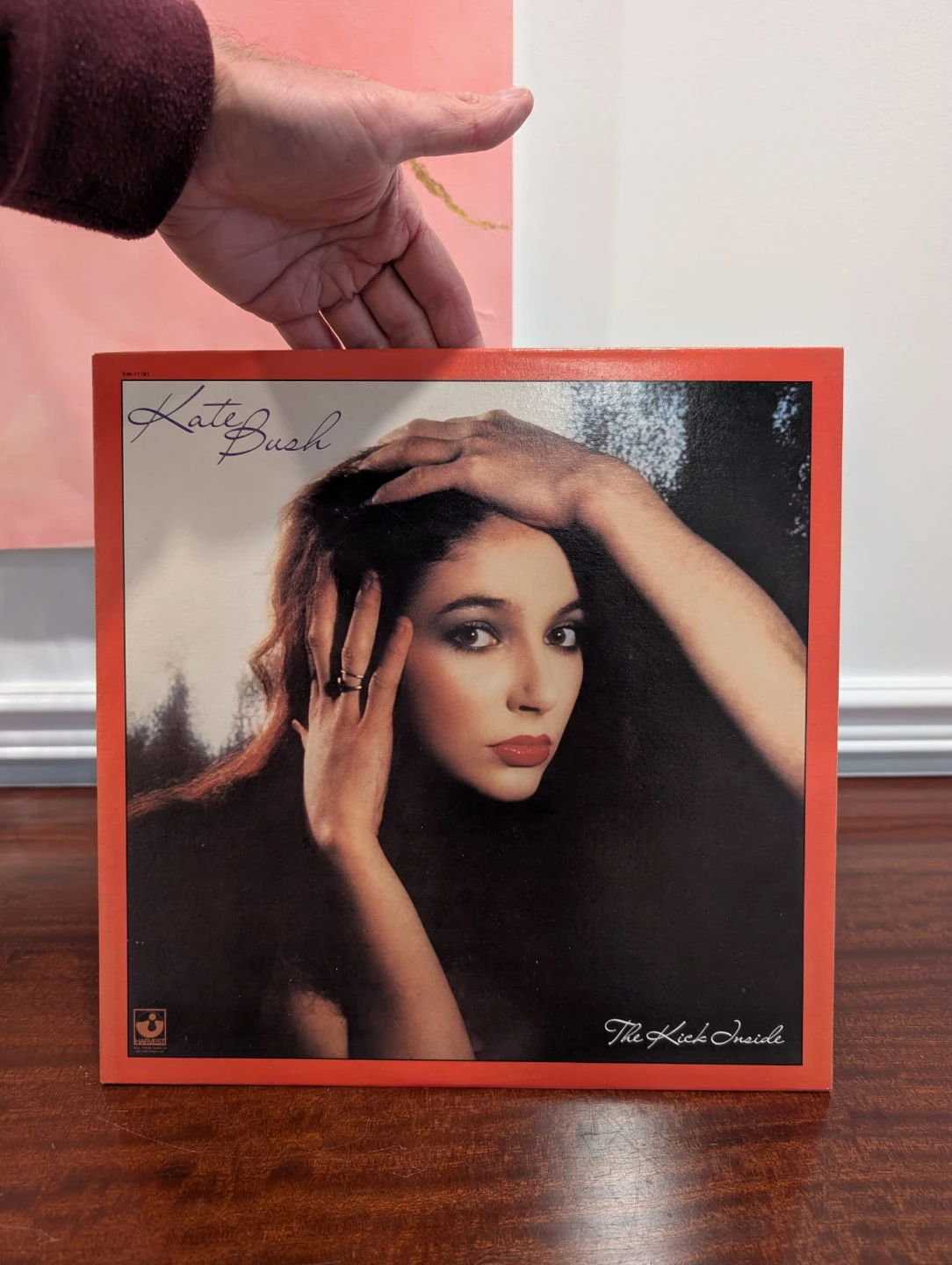 Kate Bush The Kick Inside Vinyl Record