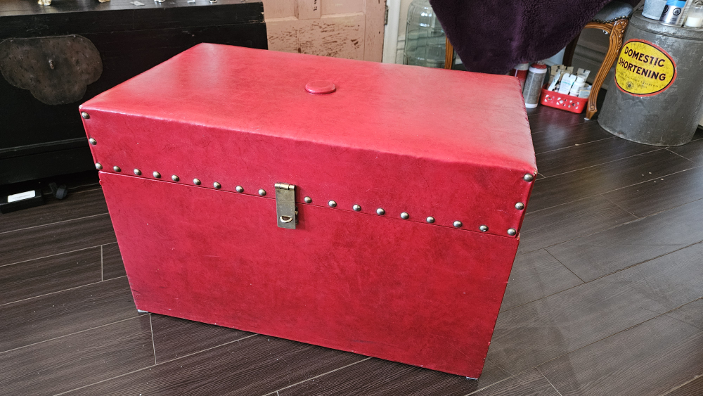 vintage vinyl Electrolux chest