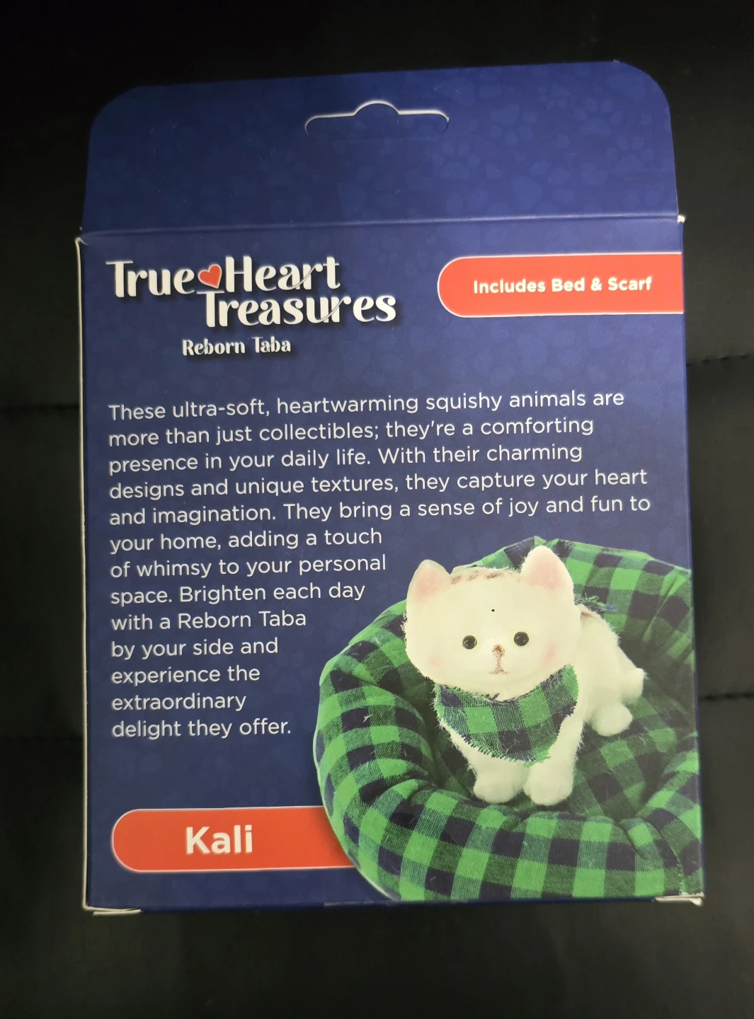True Heart Treasures Reborn Taba with Accessories BRAND NEW - photo 3