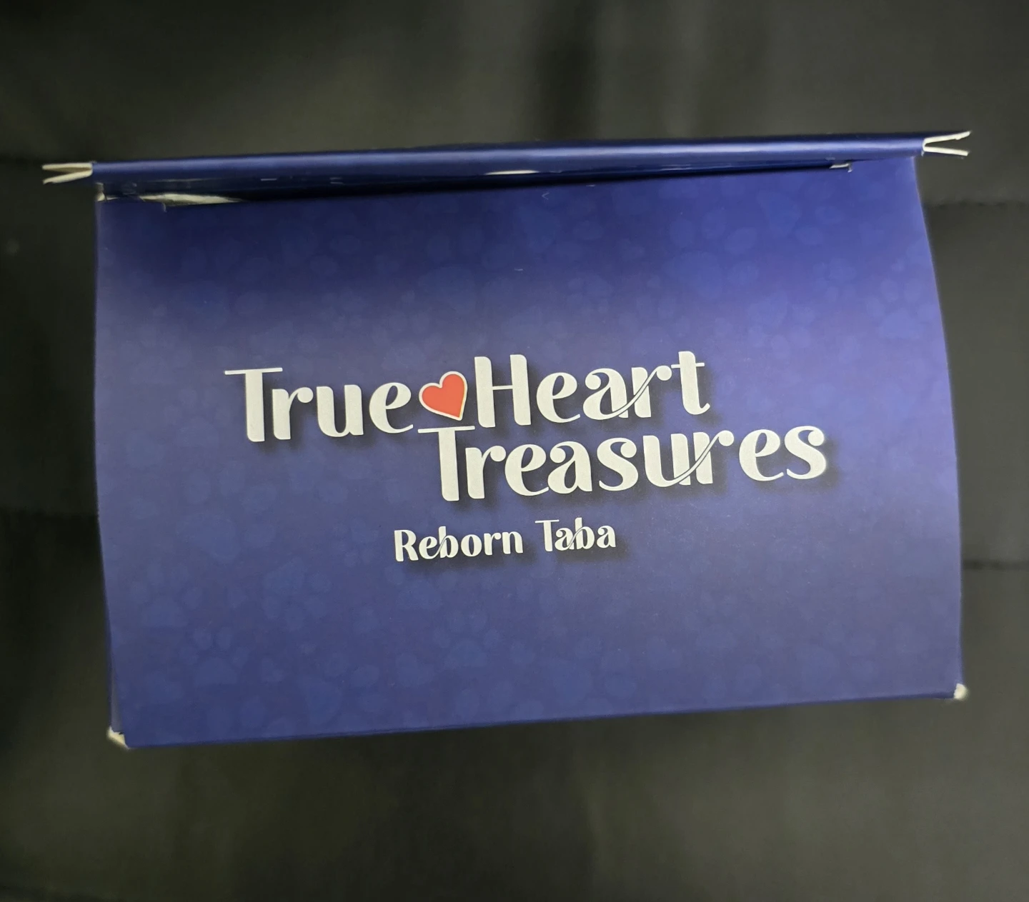 True Heart Treasures Reborn Taba with Accessories BRAND NEW - photo 5