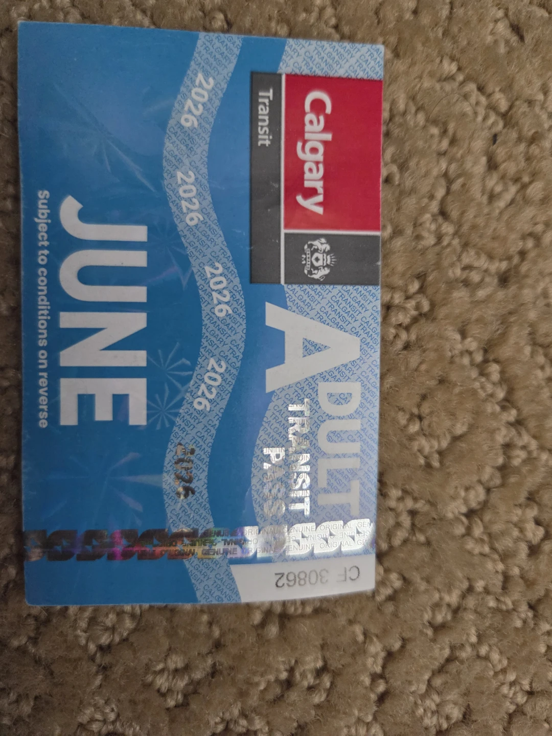 Adult June pass - photo 2