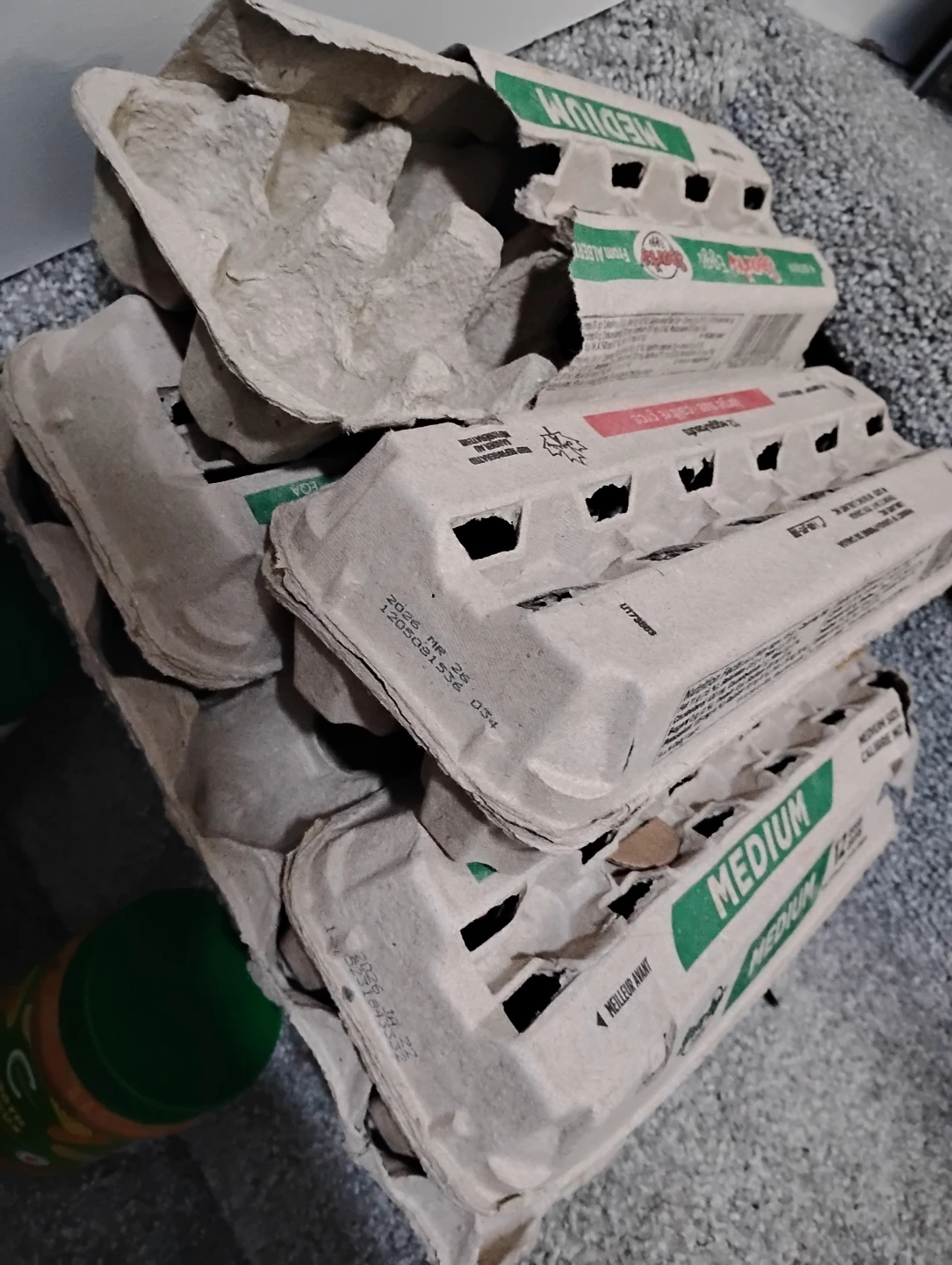 Medium Egg Cartons (Pack of 6)