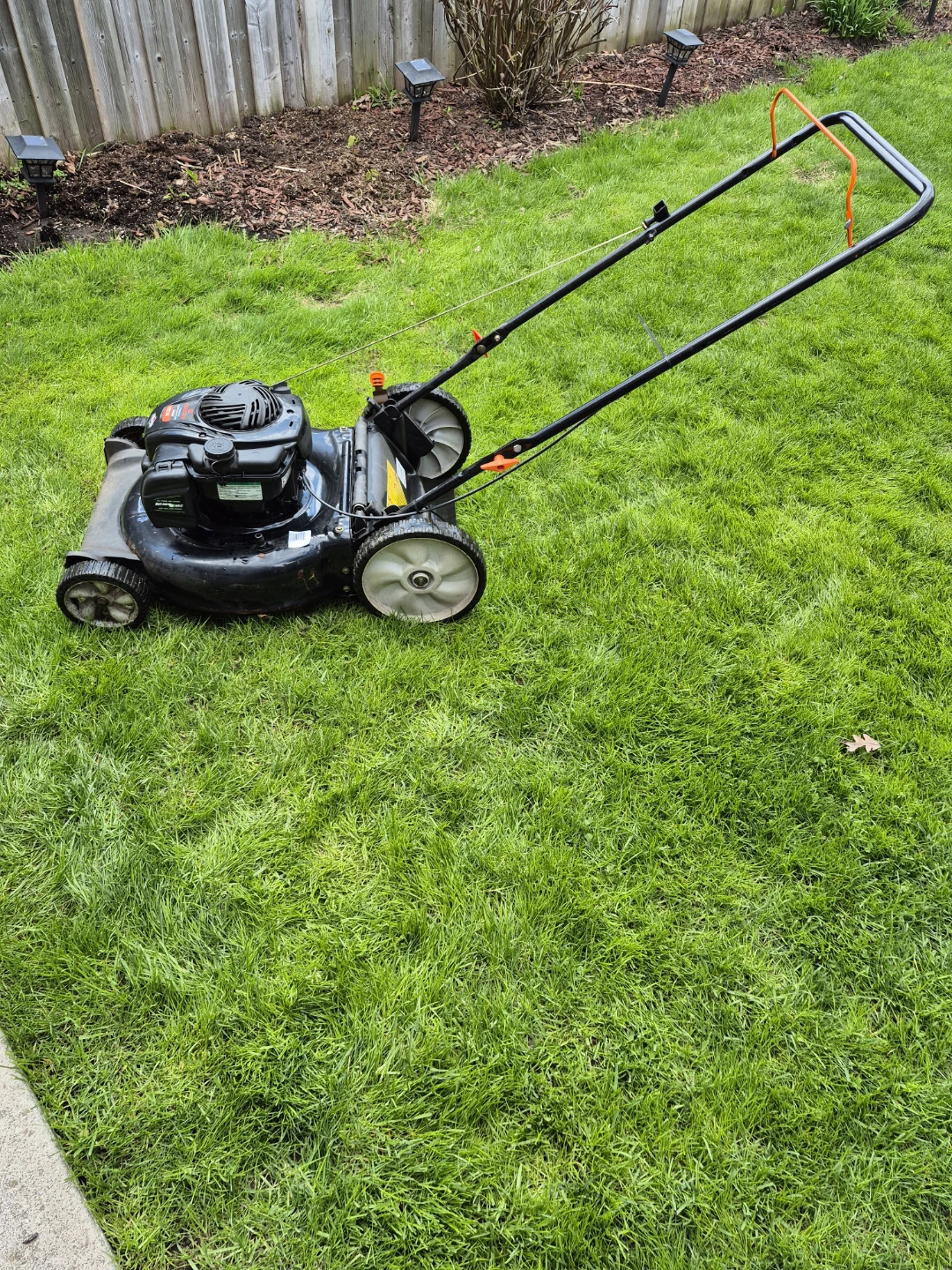 Briggs & Stratton Push Lawn Mower