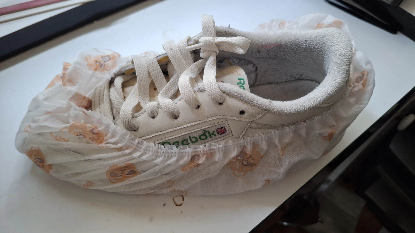 Disposable Non-woven Shoe Covers (99 Pack)