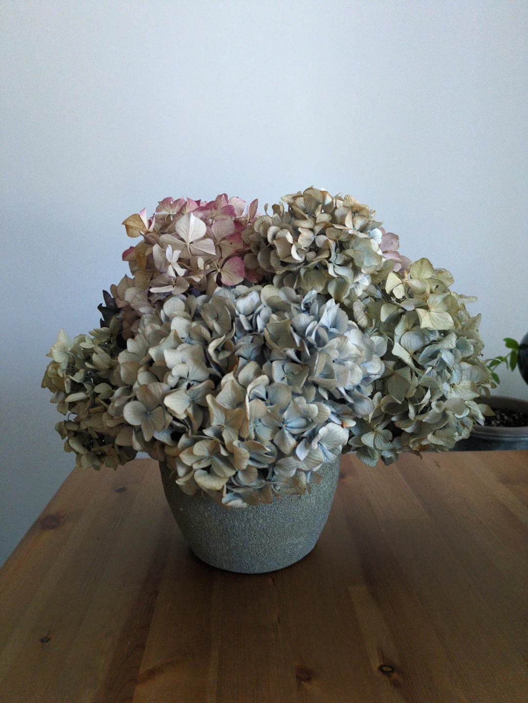 Dried Hydrangea Floral Arrangement in Stone Planter