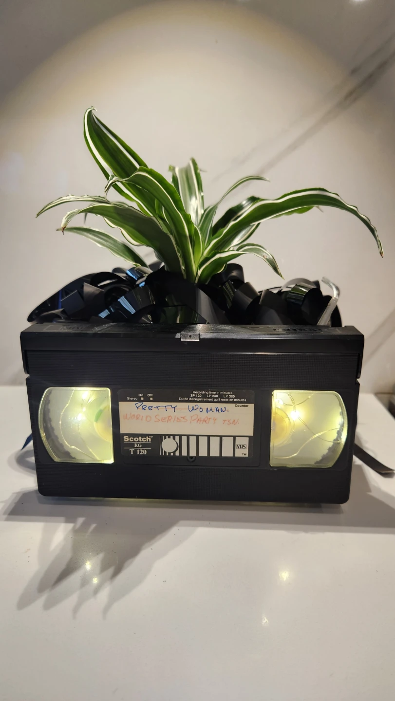 Upcycled VHS tape planter with plant