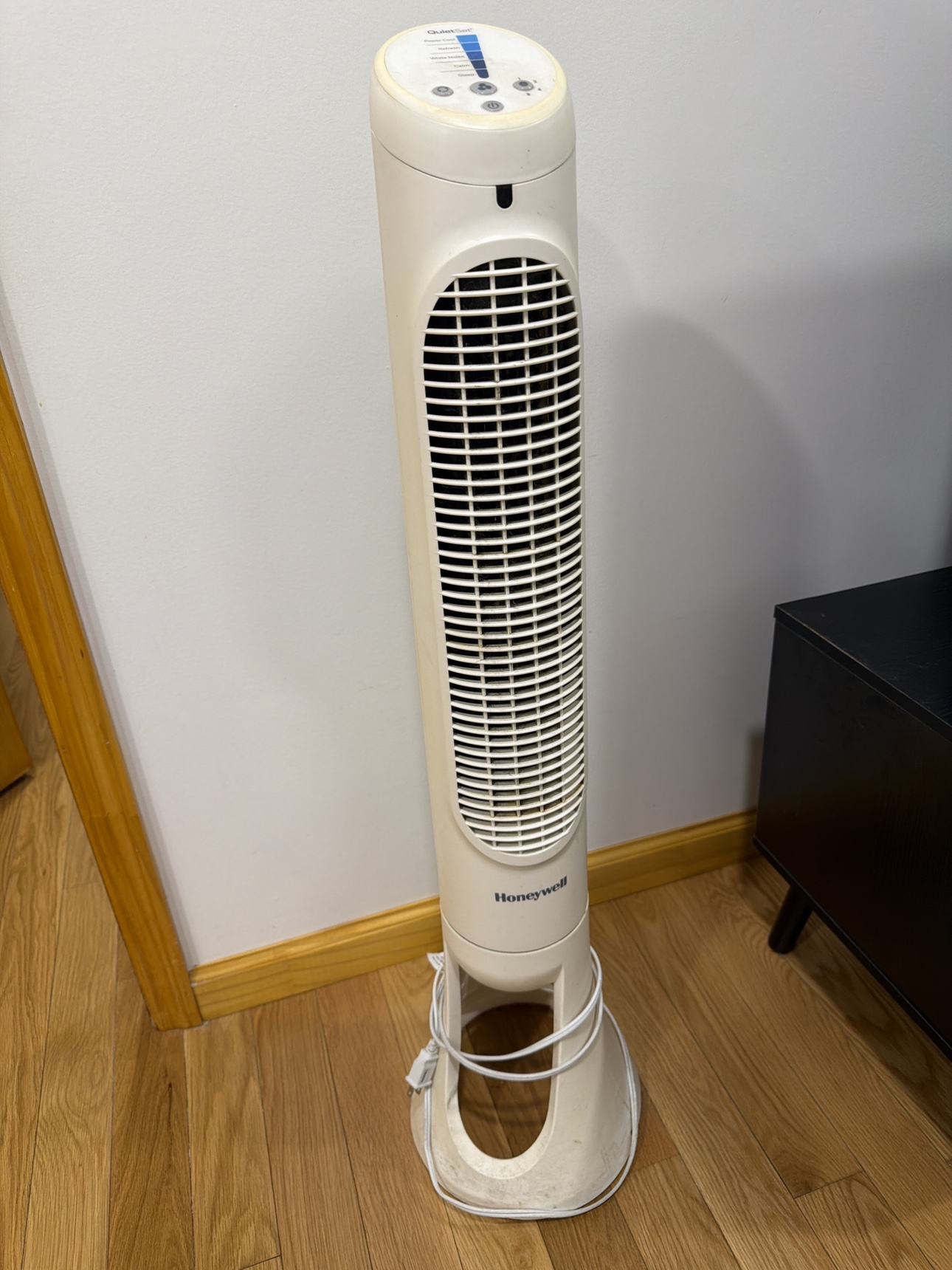 Fan