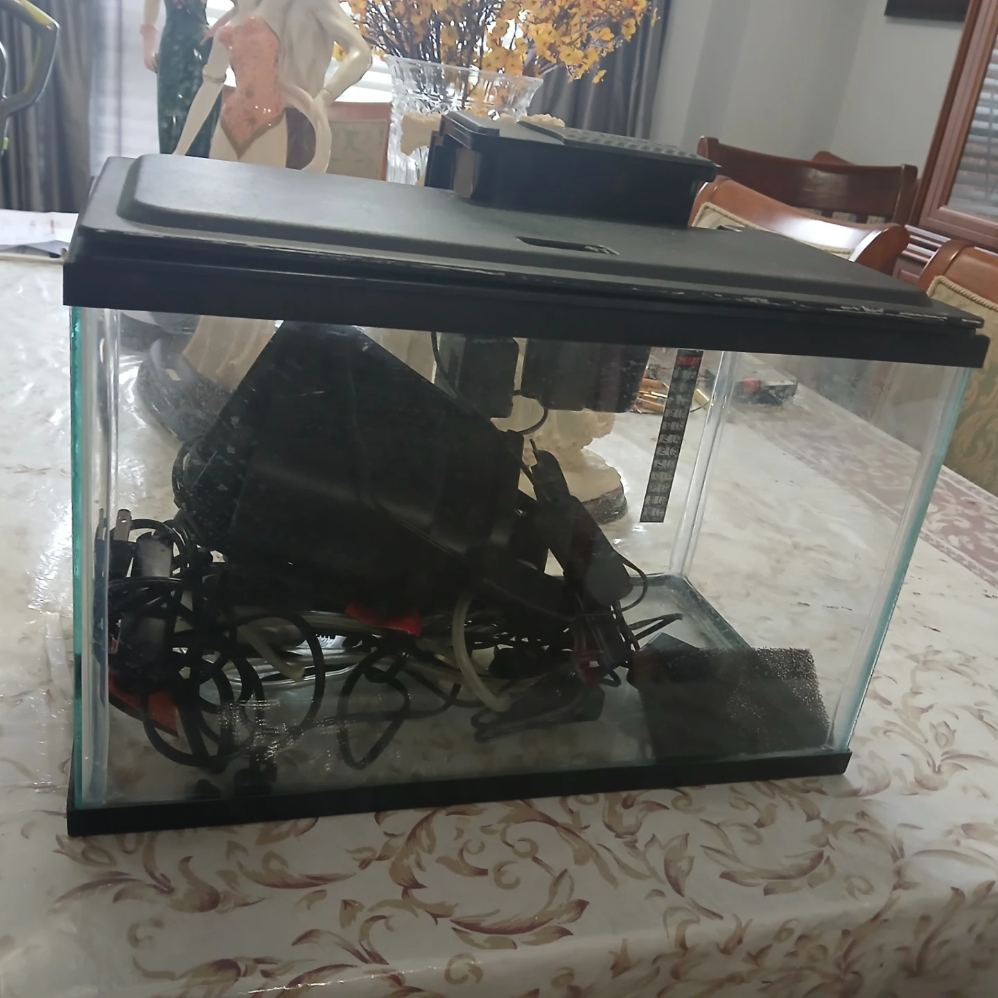 Aquarium Fish Tank with Lid and Filter - photo 3
